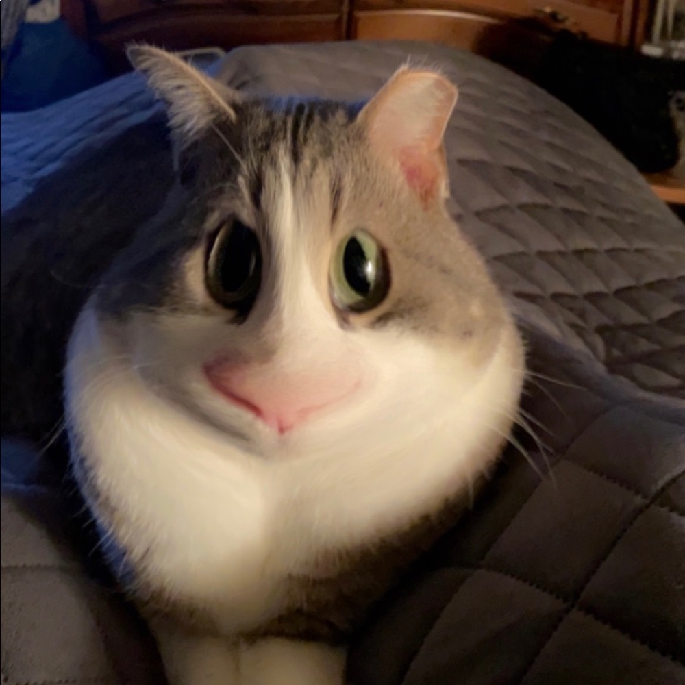 Meet your Posher, Angie